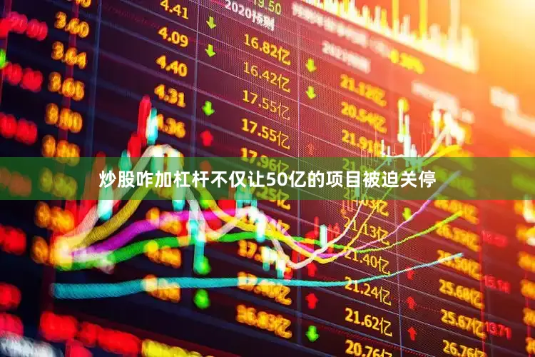 炒股咋加杠杆不仅让50亿的项目被迫关停