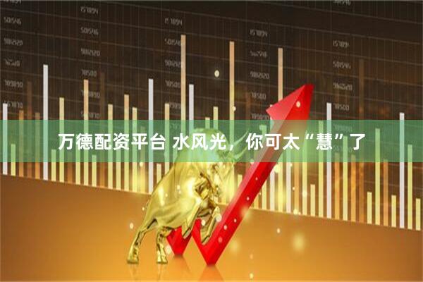 万德配资平台 水风光，你可太“慧”了