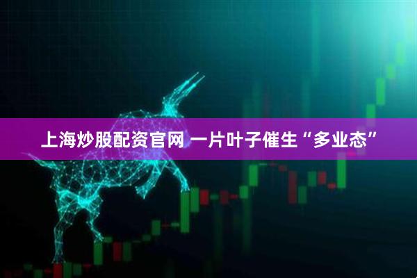 上海炒股配资官网 一片叶子催生“多业态”